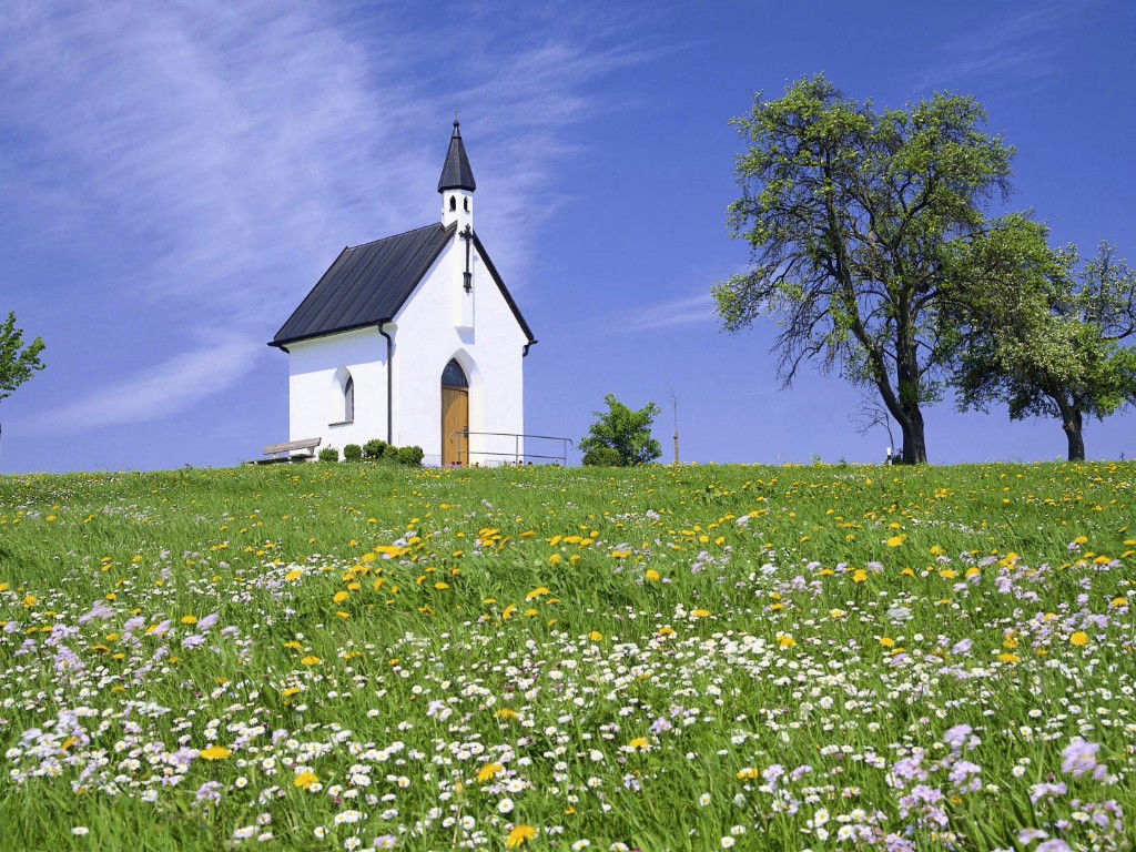 風景 (157).jpg