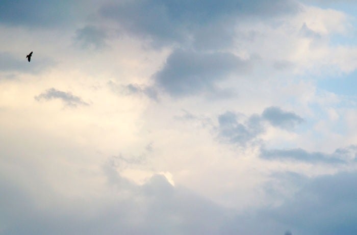 1 (782).jpg 1 (782).jpg