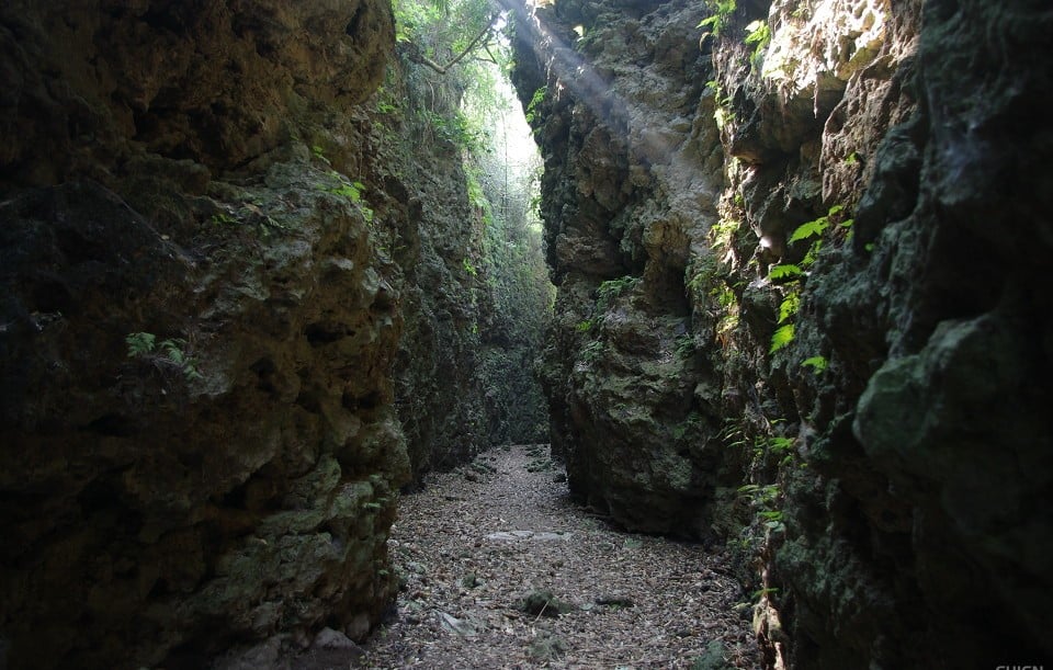 1 (748).JPG 1 (748).JPG