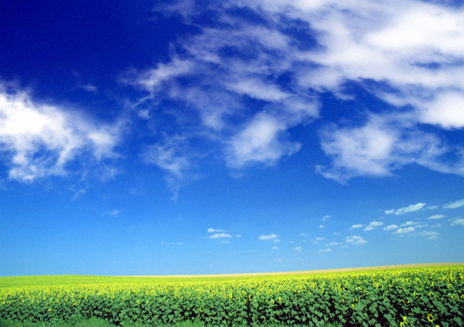 1 (922).jpg 1 (922).jpg